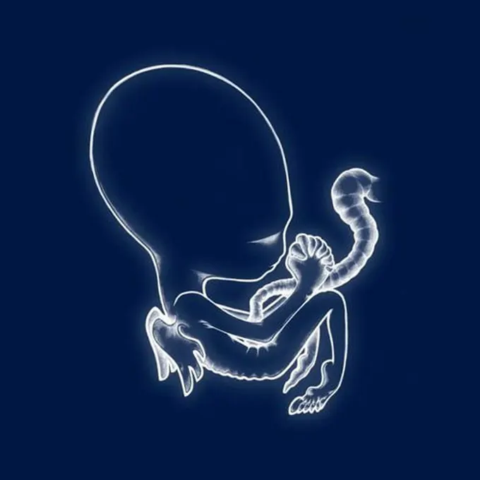 Album cover for Ágætis Byrjun by Sigur Rós