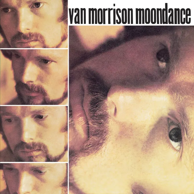 Album cover for Moondance by Van Morrison